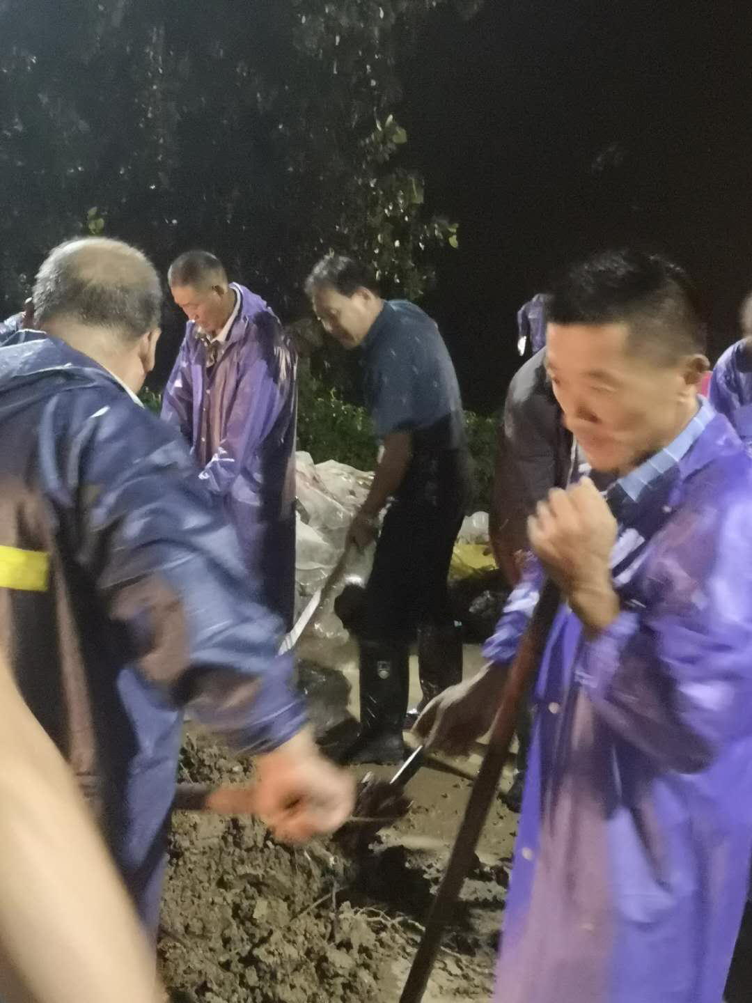 陈宏华04.png 陈宏华04.png