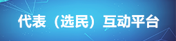 代表（选民）互动平台