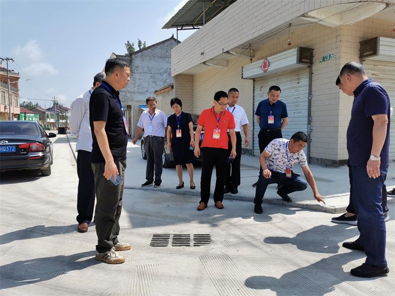 花园镇代表小组活动.jpg