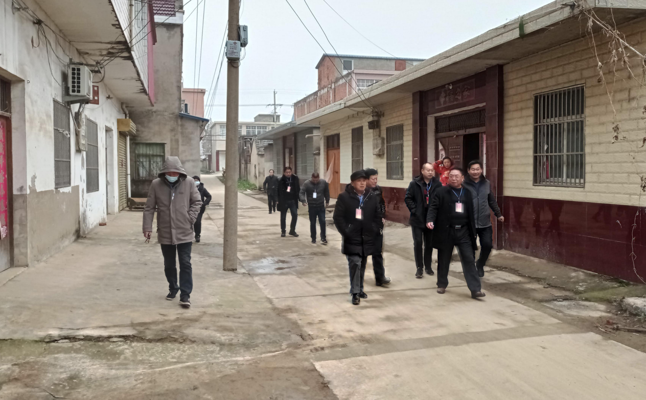卫生等花园镇人大组织代表实地察看花园镇2020年高标准农田建设项目