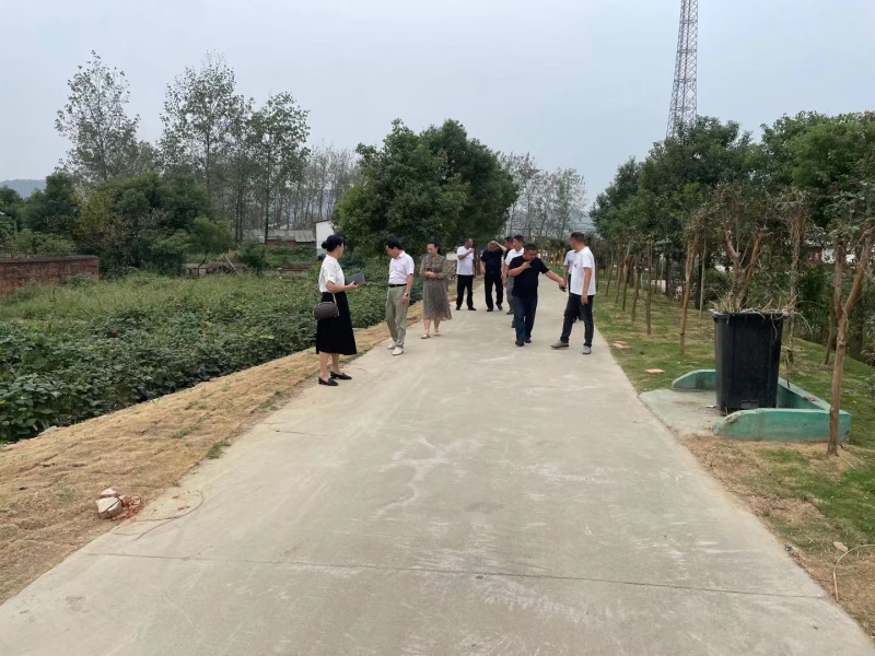 宅间路调研.png