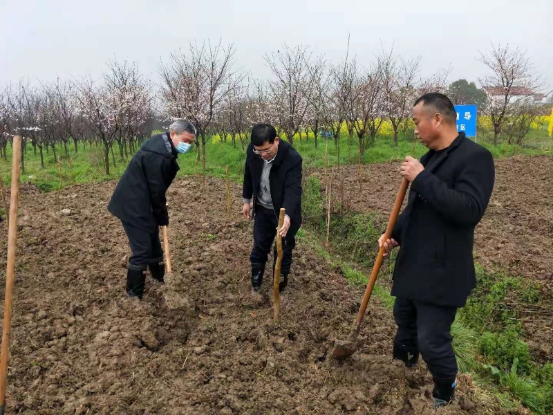 霍邱县人大常委会党组副书记、副主任黄 曙参加植树活动.jpg