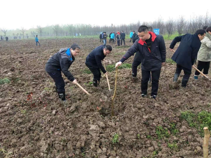 霍邱县人大常委会副主任周 明参加植树活动.jpg