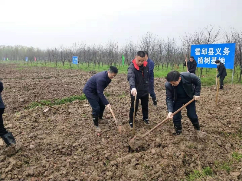 霍邱县人大常委会党组书记、主任王 俊参加植树活动.jpg