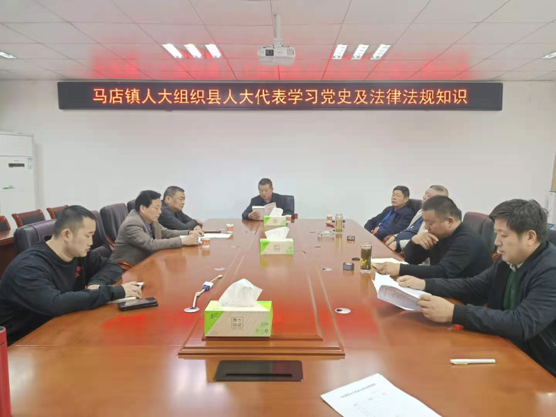 马店镇人大：学好党史“必修课” 汲取奋进“营养剂”修改.png