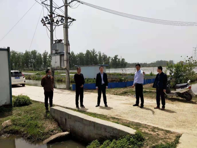 养虾基地.jpg 养虾基地.jpg