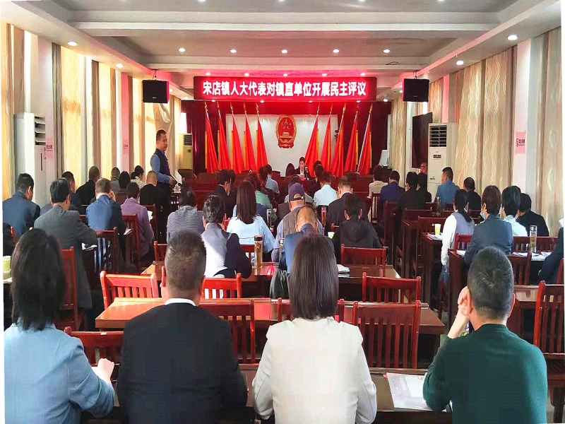宋店人大代表对镇直单位进行工作满意度测评.jpg