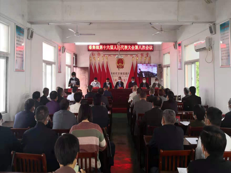 潘集镇第十六届人民代表大会第八次会议.png