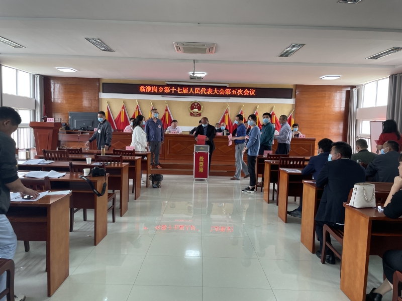 临淮岗乡召开第十七届人民代表大会第五次会议2.jpg