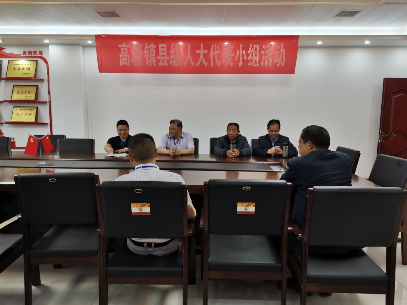 高塘镇第二季度代表小组活动1.png