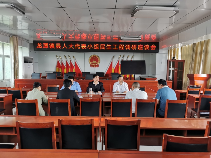 龙潭镇县人大代表调研民生工程.jpg