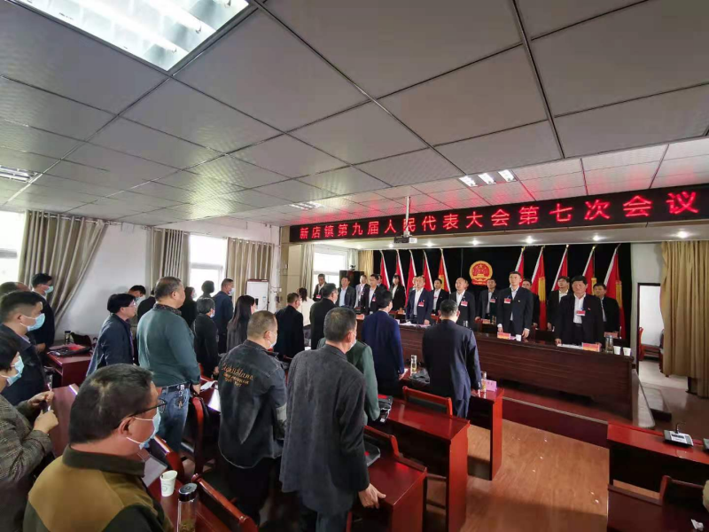 新店镇第九届人代会七次会议2.png