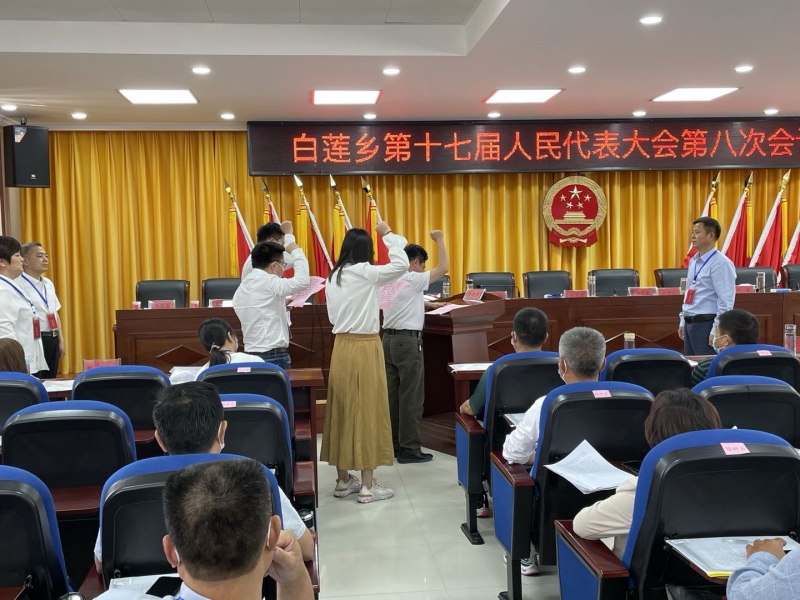 向宪法宣誓.jpg