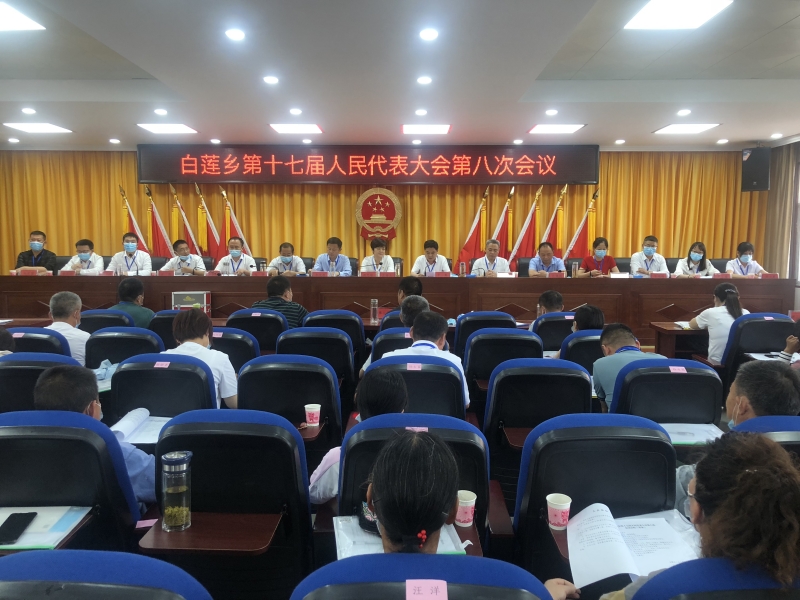 白莲乡人代会.jpg