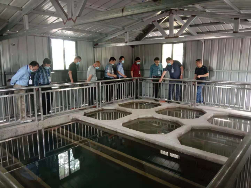 众兴集镇二季度代表小组活动02.png