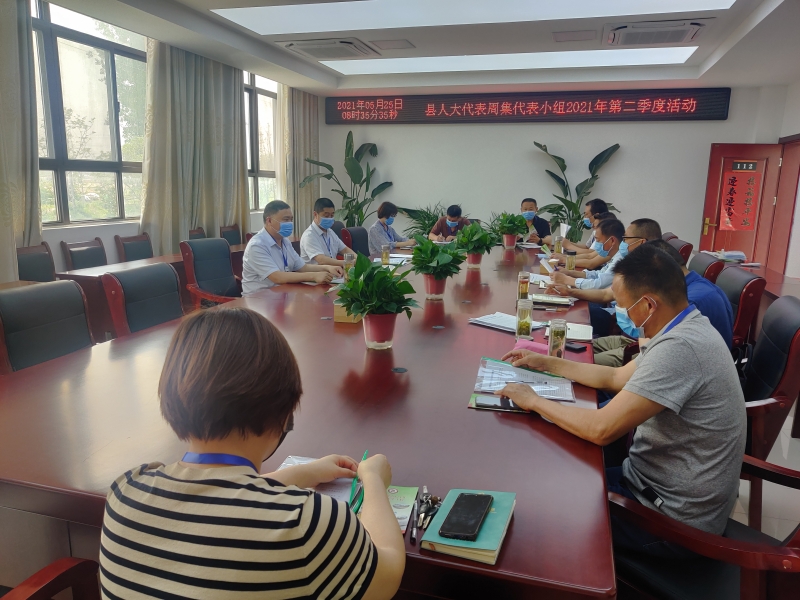 周集镇代表小组活动01.jpg
