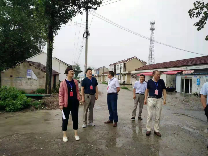 高塘镇代表检查乡村环境整治.png