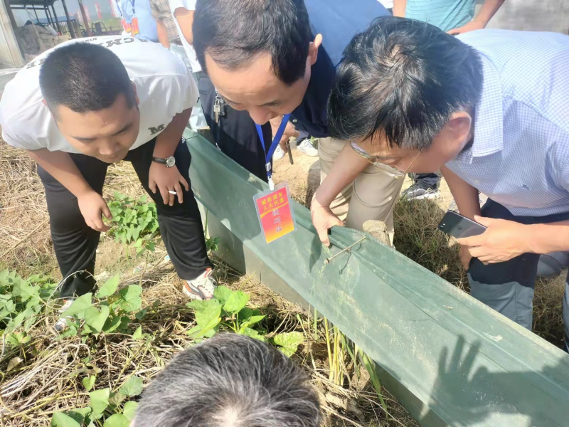 WPS图片-修改尺寸(2).png