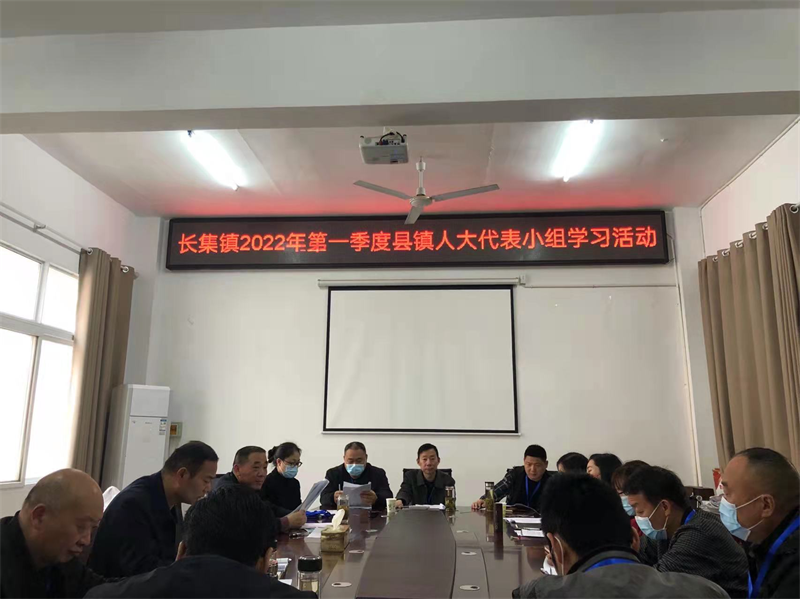 长集镇人大第一季度代表小组活动.png