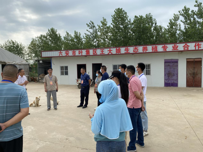 扈胡镇人大组织调研村级集体经济发展.png