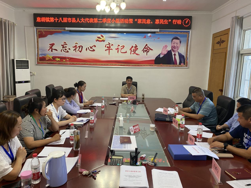 扈胡镇人大组织调研村级集体经济发展3.png