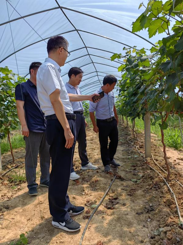 王俊到乡镇调研督查“聚民意，惠民生”行动开展情况2.jpg